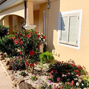Casa Dolce Hibiscus Olbia
